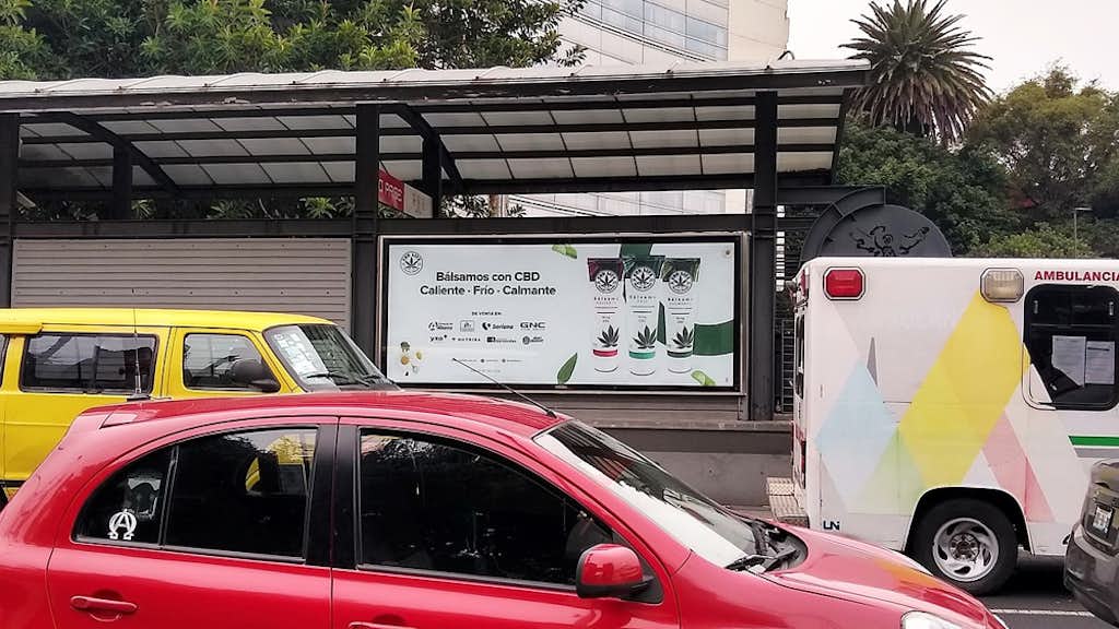Auf dem Bild ist ein Werbeposter fĂŒr CBD-Balsam an einer Bushaltestelle in Mexiko-Stadt zu sehen, ein Hinweis darauf, dass Cannabis im medizinischen Kontext mittlerweile offen beworben und verkauft werden darf.