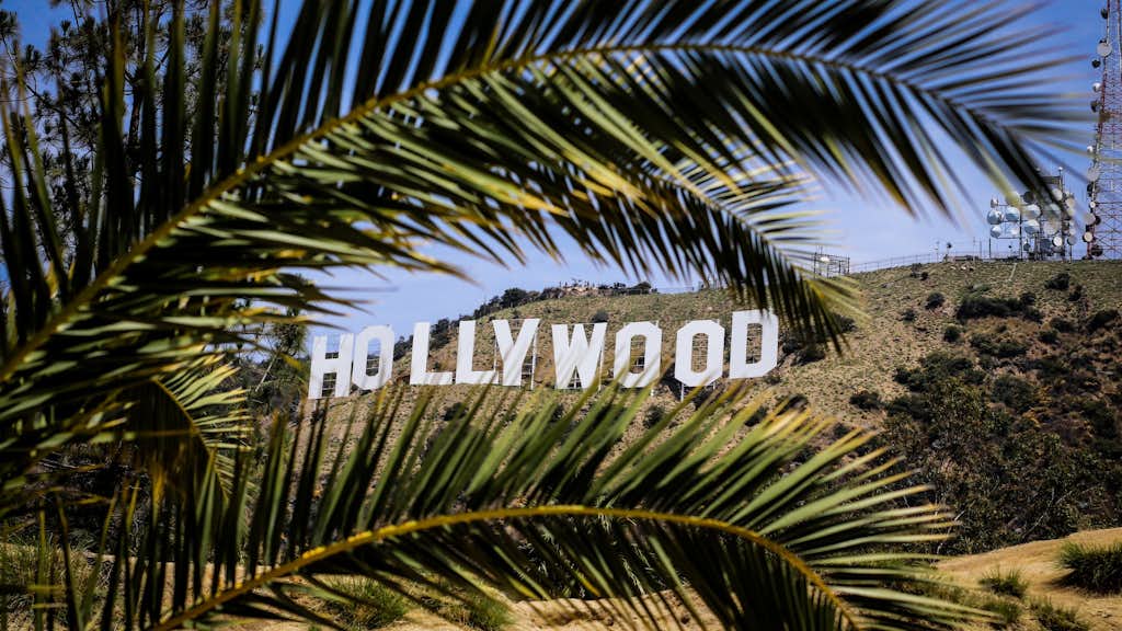 Hollywood Schriftzug hinter Palmenblättern
