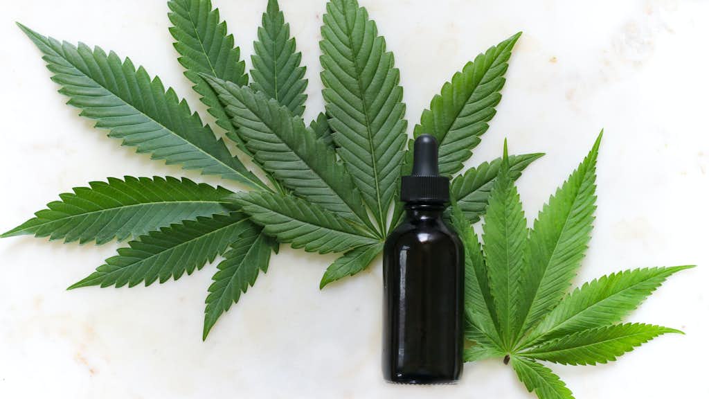 Tinktur auf Cannabis Blättern