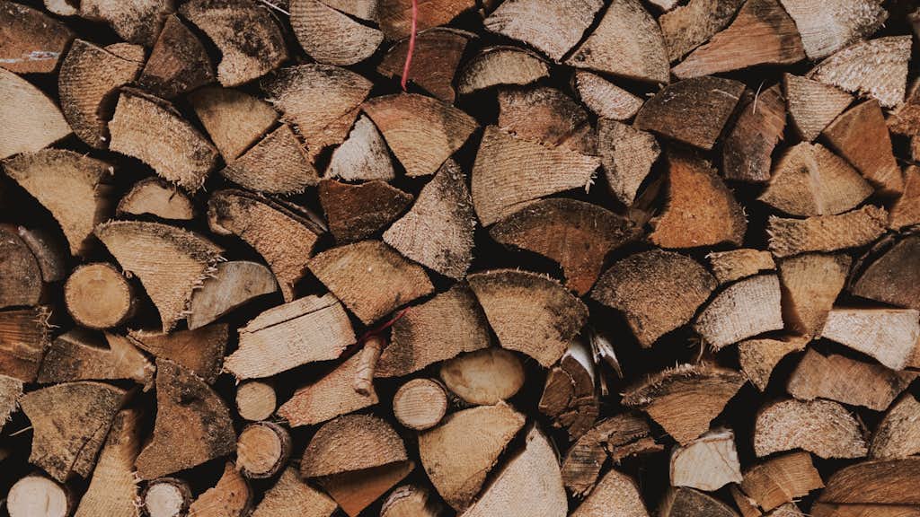 Holz