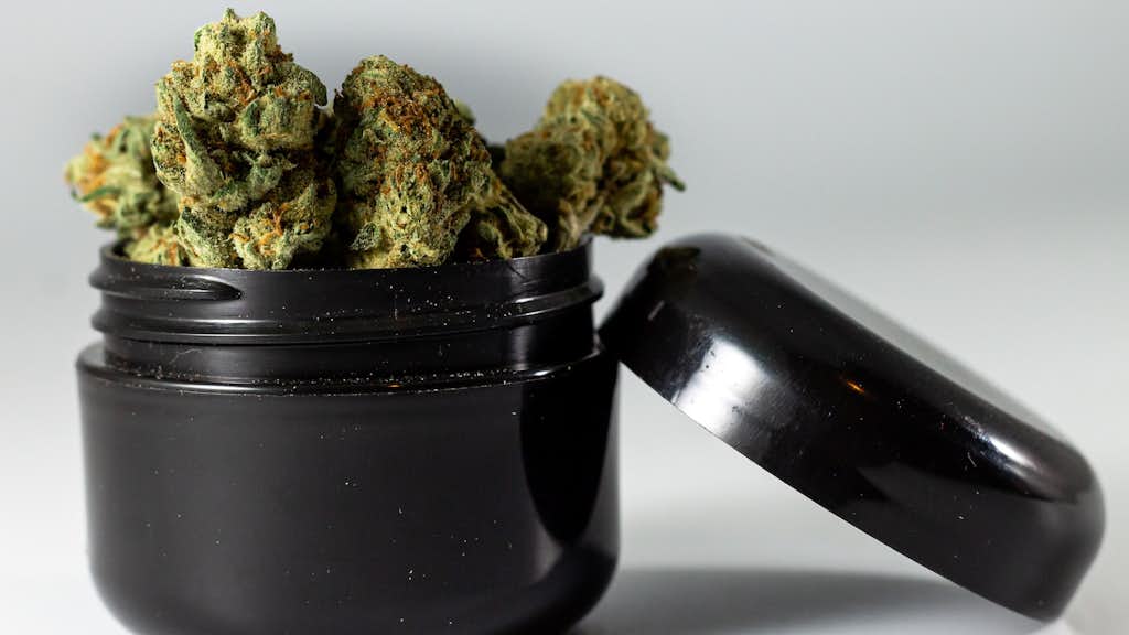 Cannabis Blüten im schwarzen Behälter