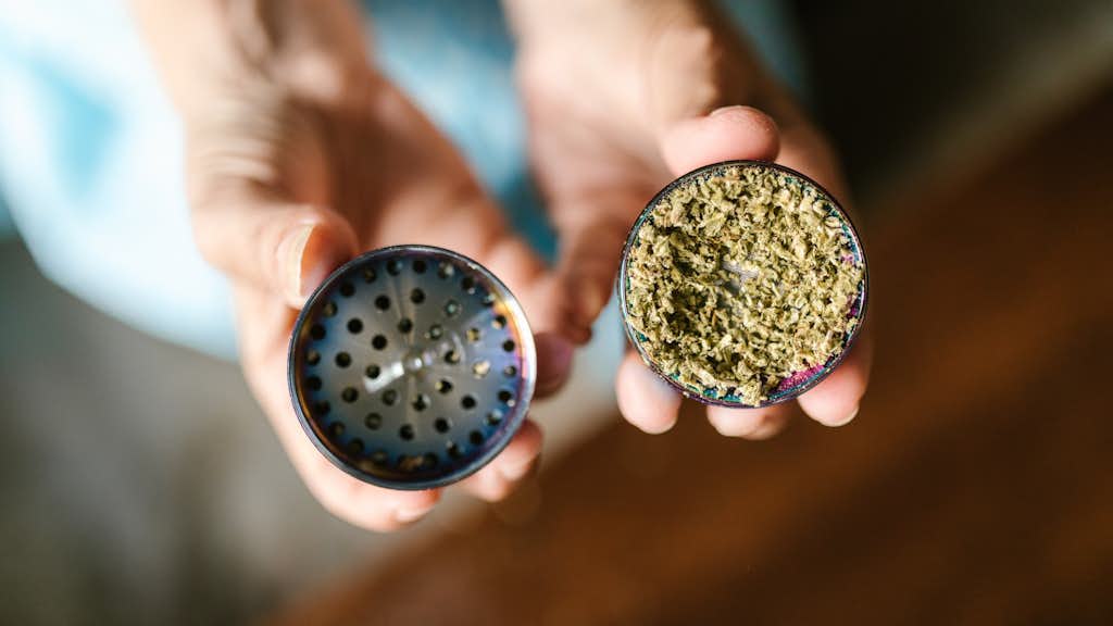 Zerkleinertes Cannabis im Grinder
