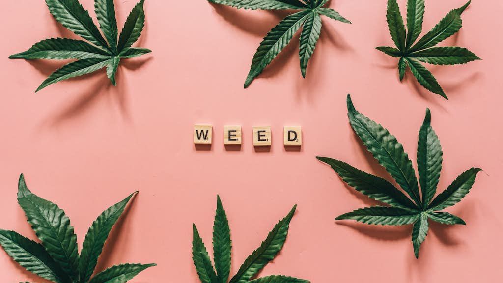 Weed