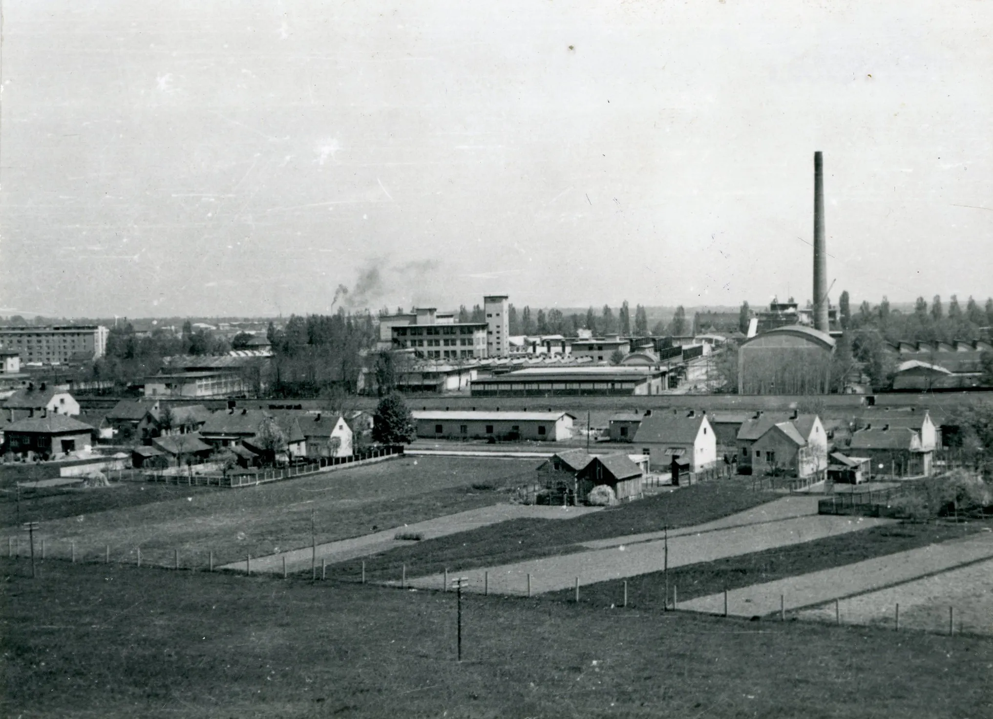 Biškupečka 1950., foto D. Trglavćnik, GMV 93138