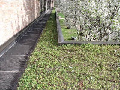 Green roof at Texas Township Campus