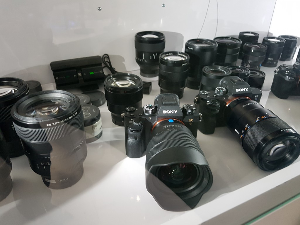 Sony mirrorless cameras