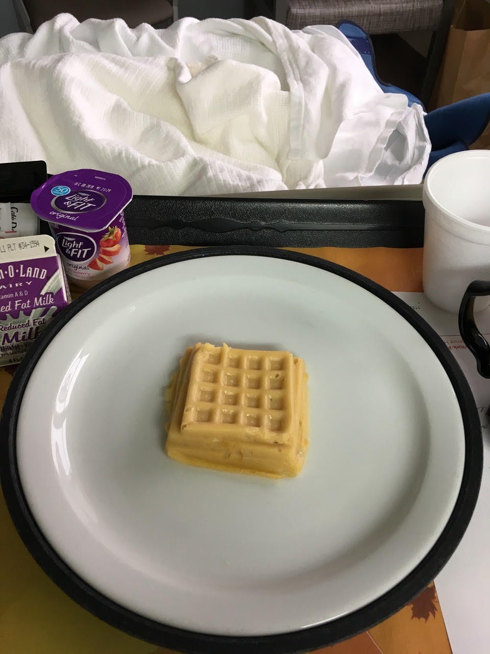 Pureed hospital waffle molded back to a waffle