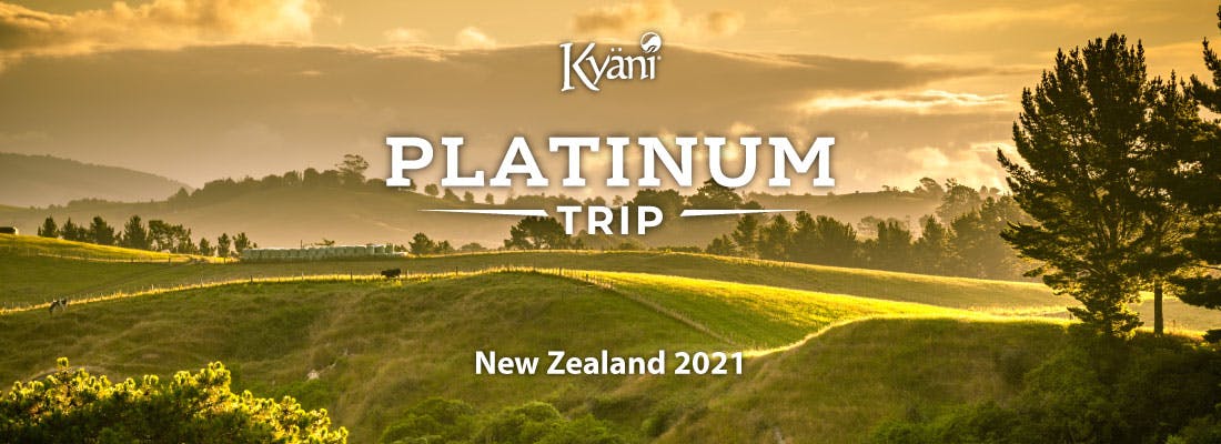 Kommen Sie Mit Uns Nach Neuseeland