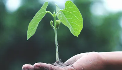 Going digital to protect the planet: paper- and plastic-free schools