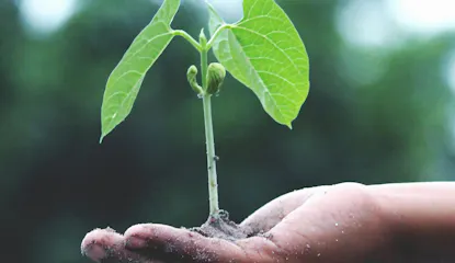 Digitalizarse para cuidar el planeta: academias sin papel ni plástico