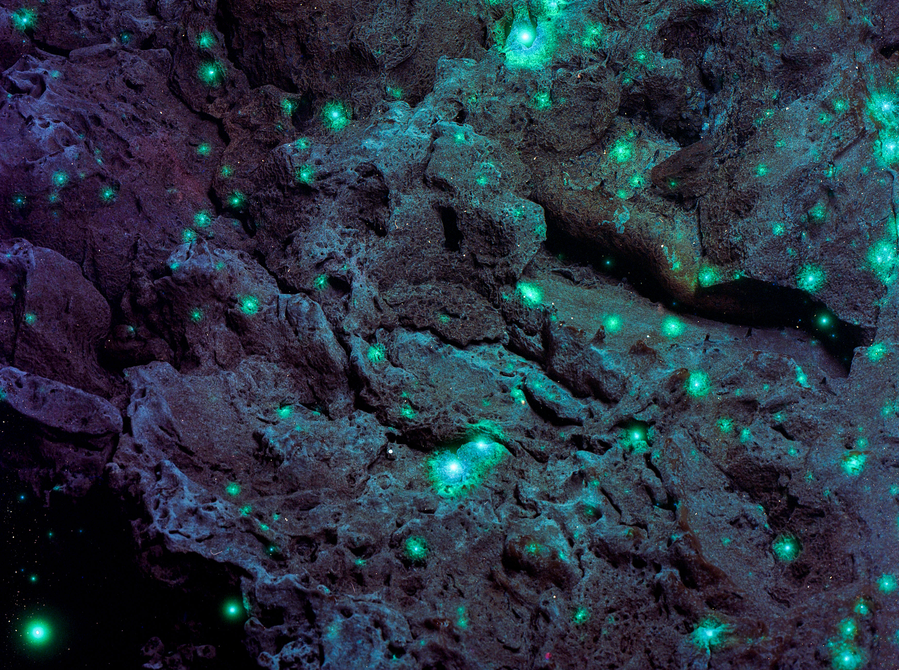 Louis Braddock Clarke