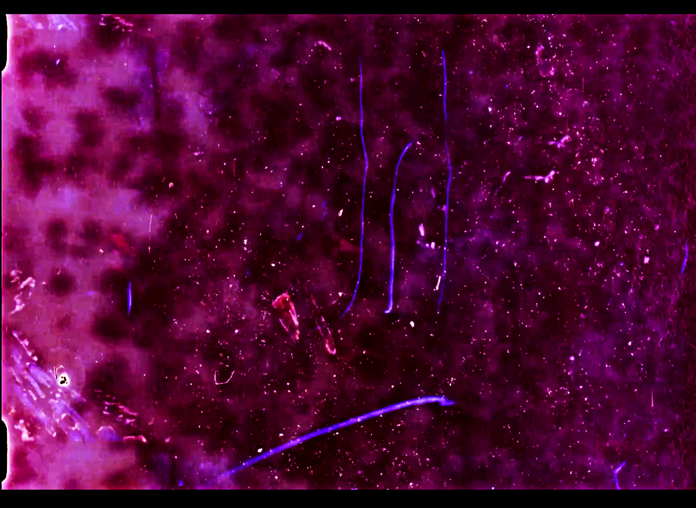 Louis Braddock Clarke