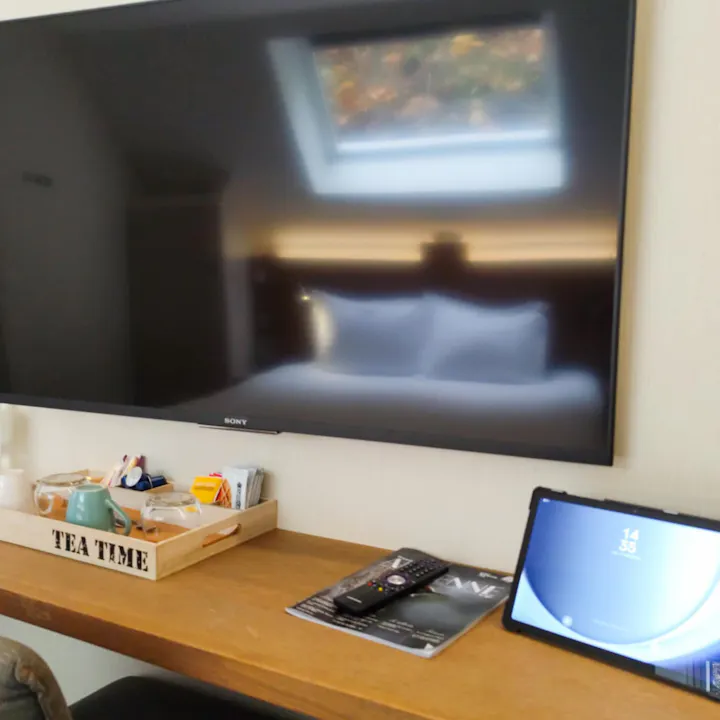 télévision écran plat
