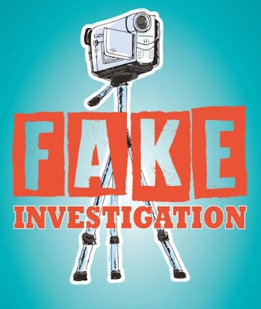 Affiche Fake Investigation