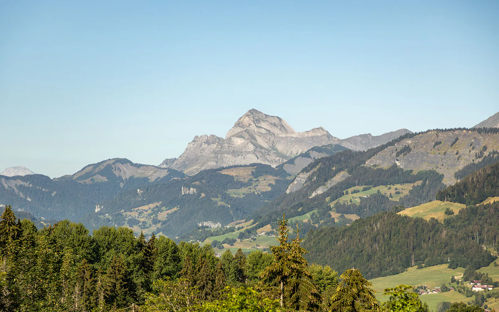La Ferme du Golf en été - Hôtel et Restaurant en montagne
