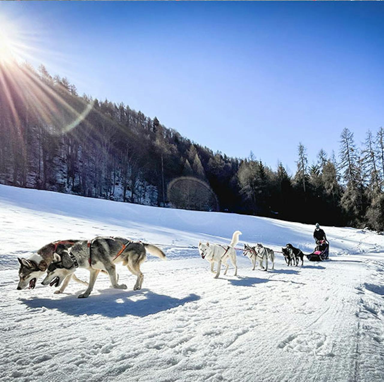 La Ferme du Golf - Hôtel et Restaurant en montagne
