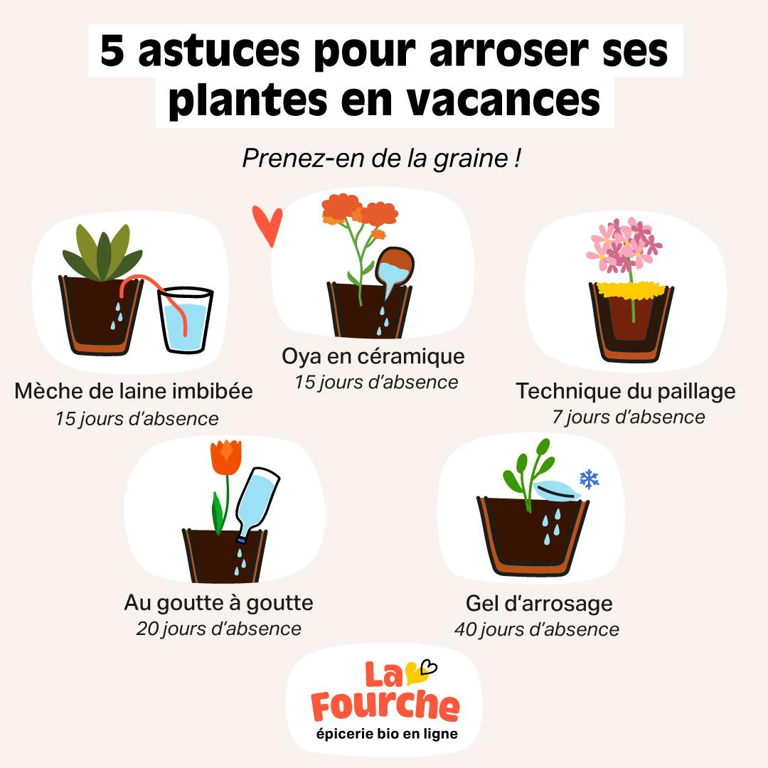 Départ en vacances : 5 solutions pour l'arrosage de vos plantes en votre  absence : Femme Actuelle Le MAG