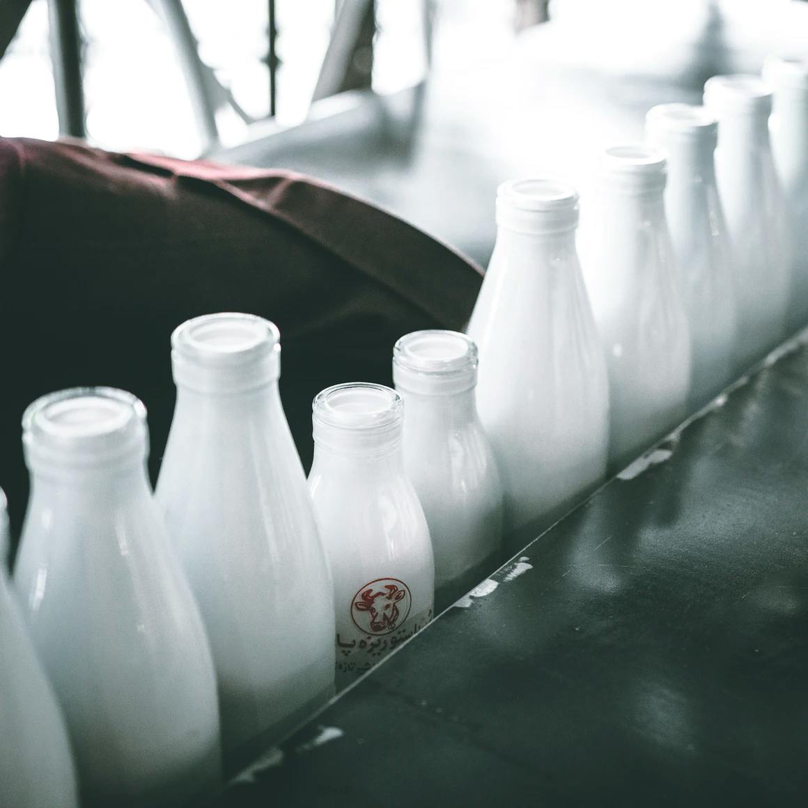 Matériel de transformation du lait à la ferme