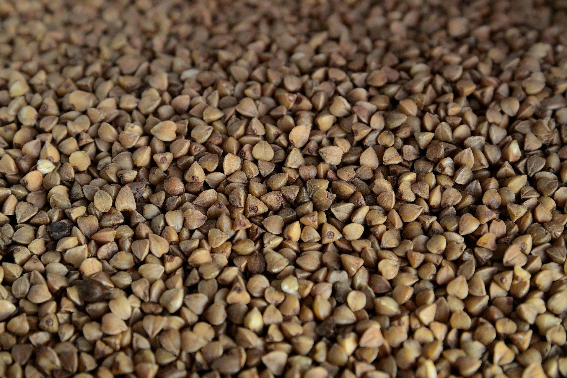 Tout savoir sur la farine de sarrasin : une farine sans gluten