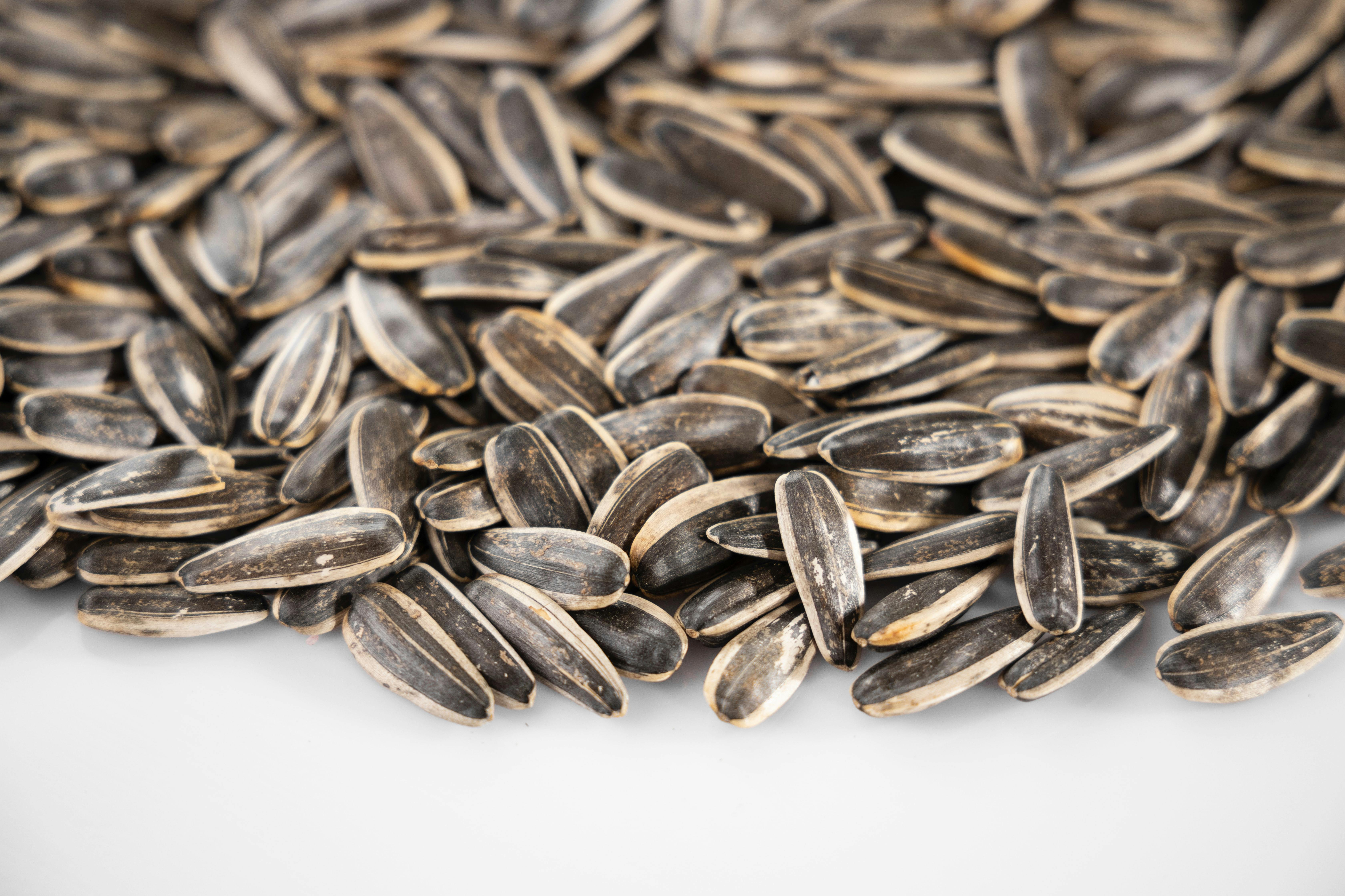 Les graines de tournesol font-elles maigrir? - Le blog