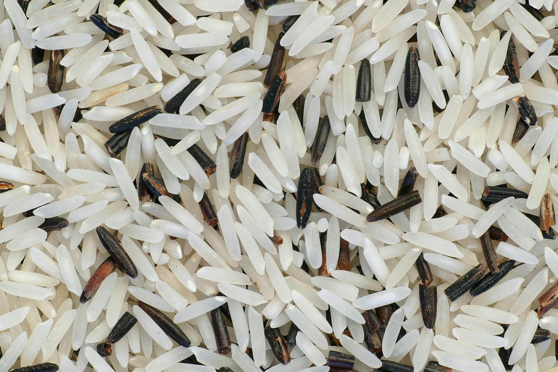 Riz Basmati Long Blanc