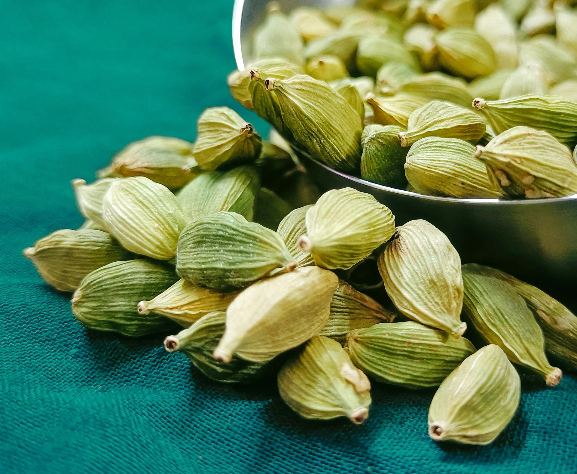 Cardamome graines ou poudre - Achat, usage et vertus - Ile aux épices