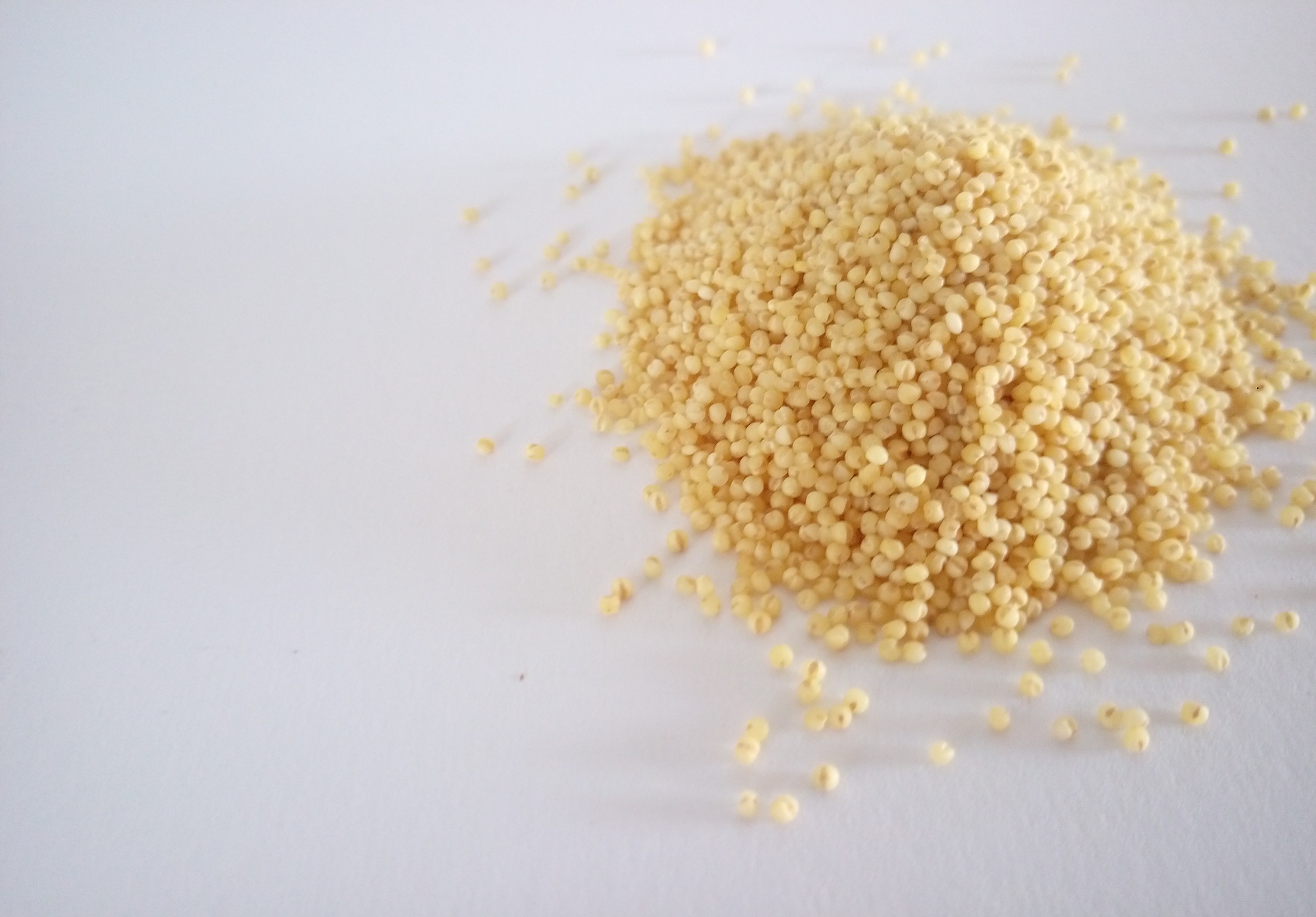 Tout savoir sur la farine de millet recettes et bienfaits La Fourche