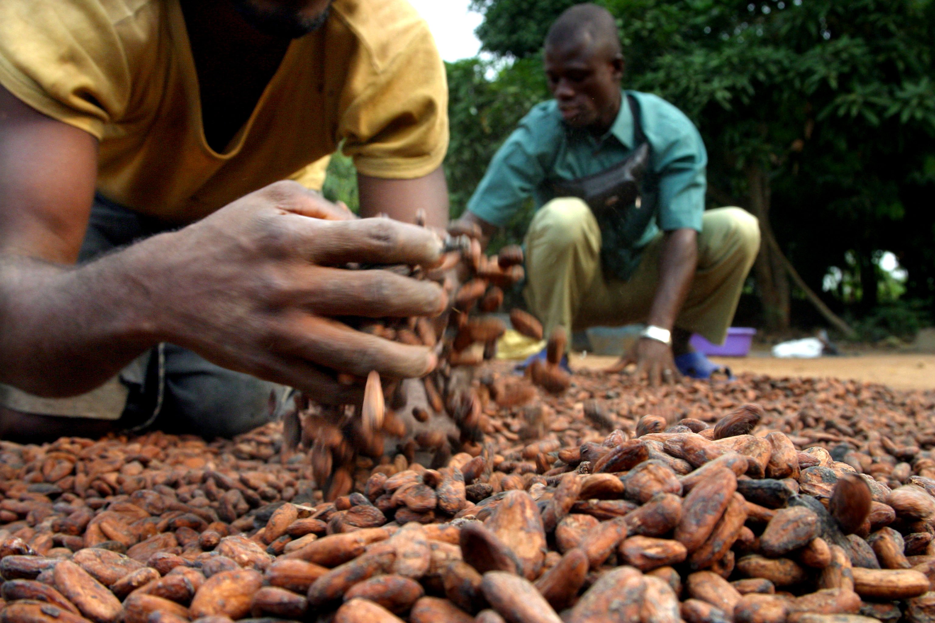 Kaoka, un chocolat équitable, bio, engagé... et délicieux! La Fourche