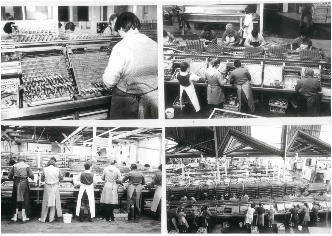 500m² d’émotions en son et lumière
