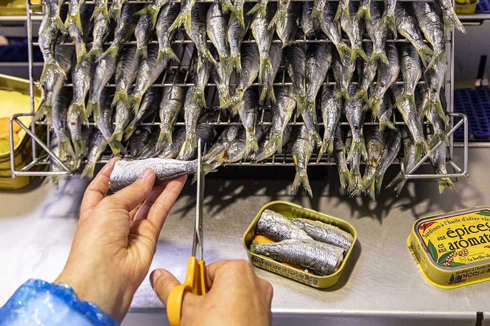 [center]L’esprit de bien faire[/center]
