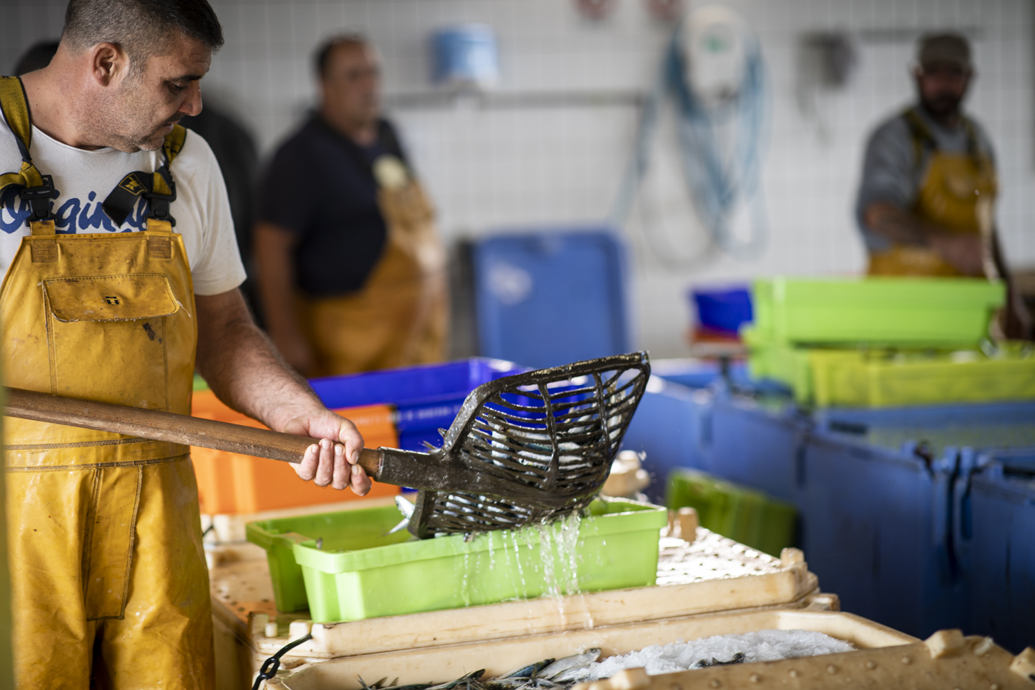 [center]Forging strong ties with local players[/center]
