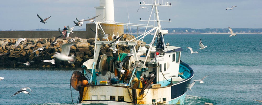 Une pêche raisonnée et responsable à la belle-iloise
