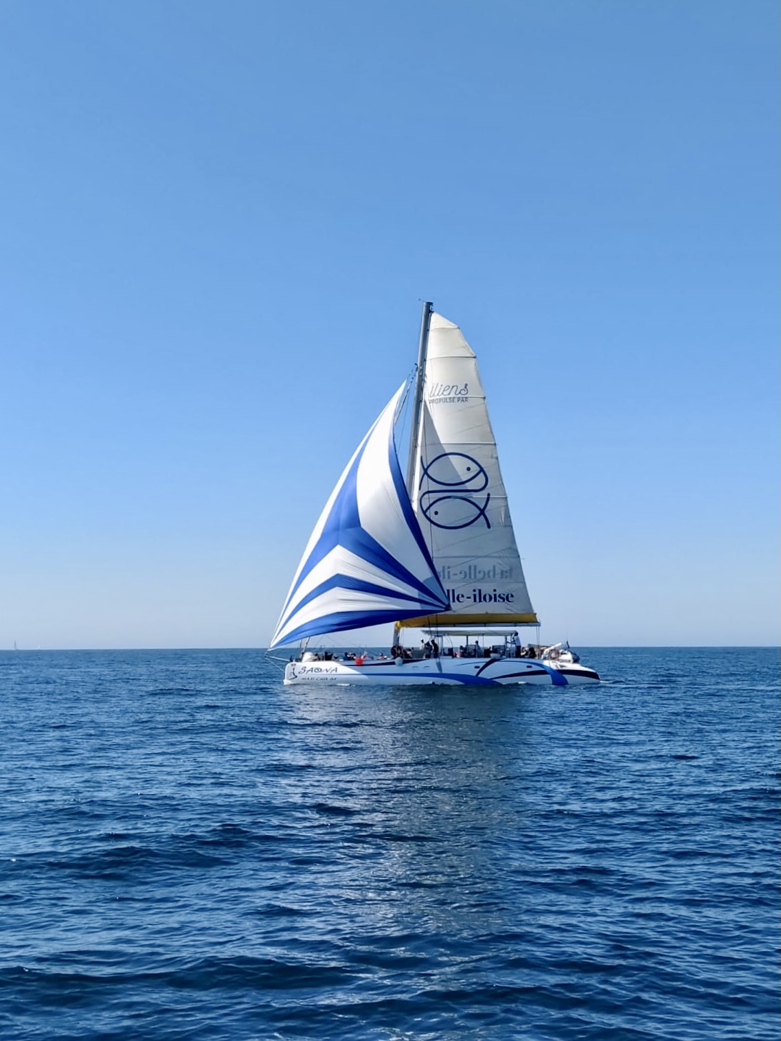 Supporting local dynamics - la belle-iloise
