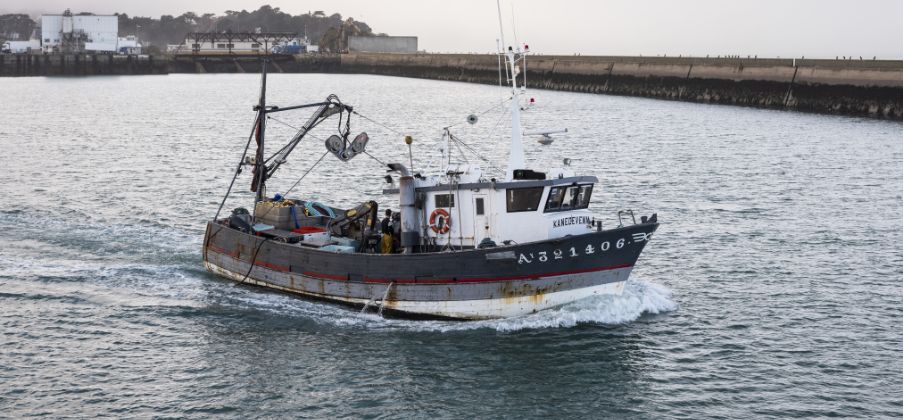 Ons laatste nieuws - la belle-iloise