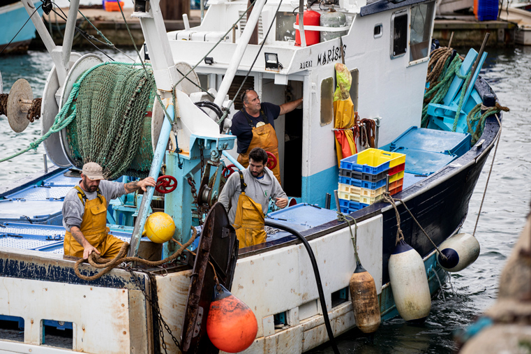 [center]Buying locally[/center]
