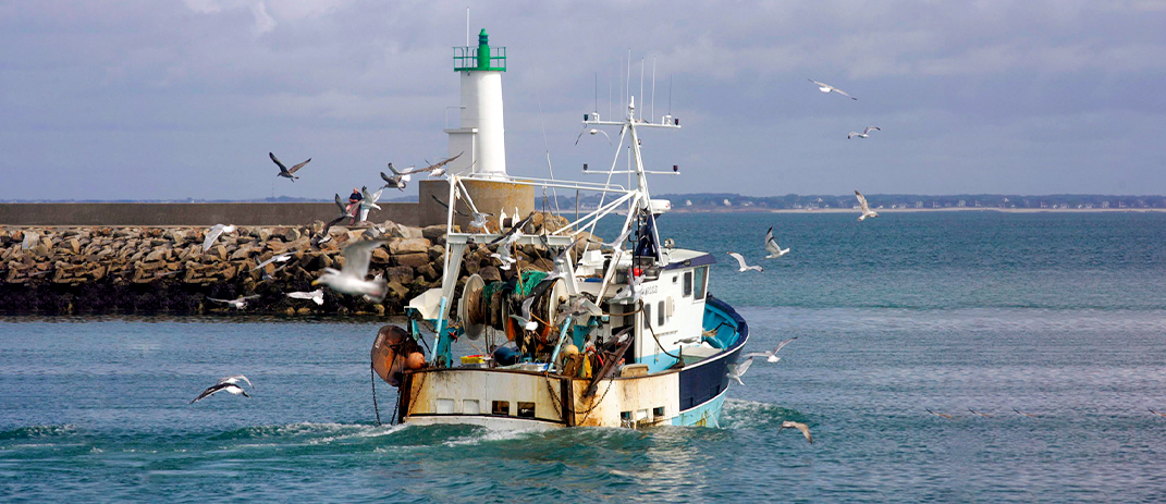 Une pêche raisonnée et responsable à la belle-iloise
