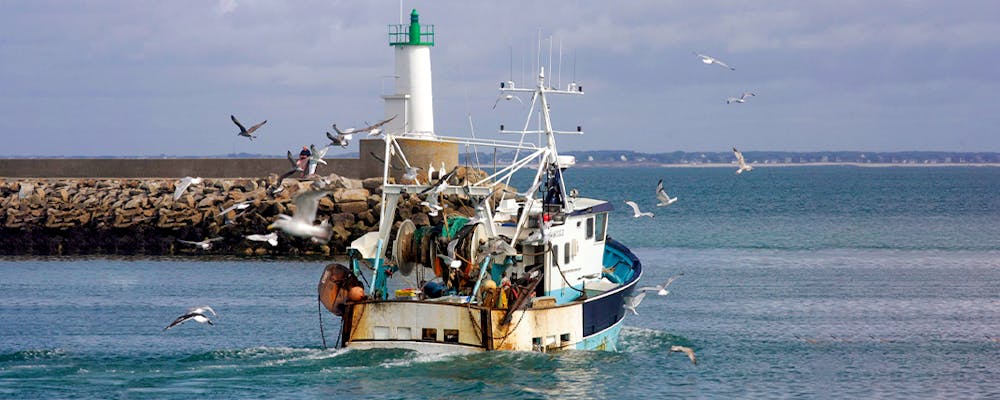 Une pêche raisonnée et responsable à la belle-iloise