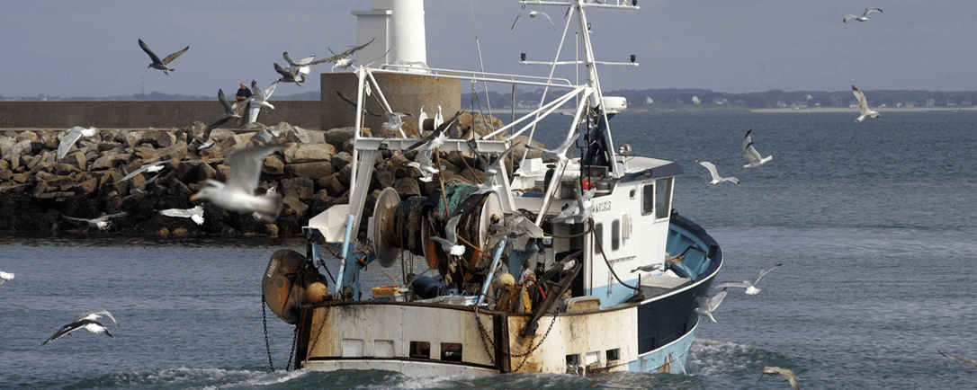 Votre livraison en France sur labelleiloise.fr
