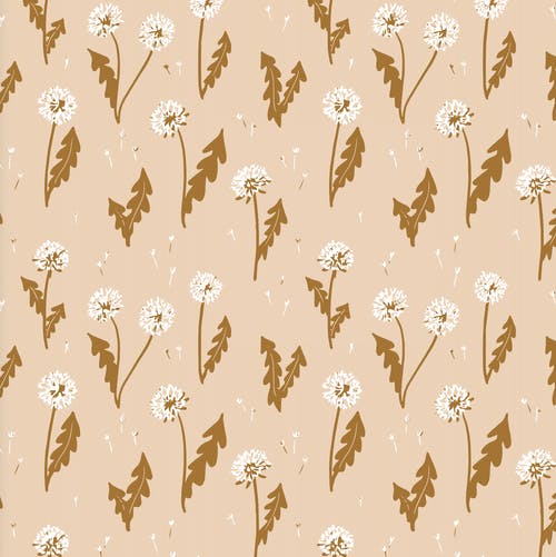 A dandelion pattern