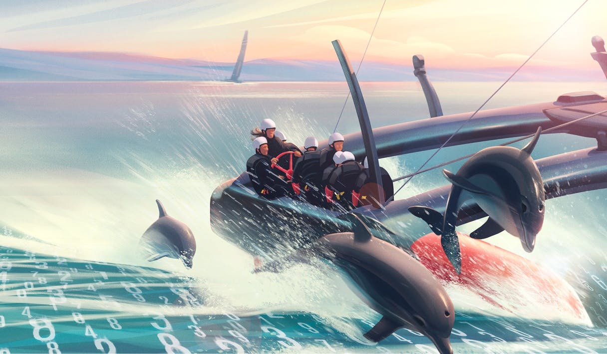 A catamaran racing with dolphins