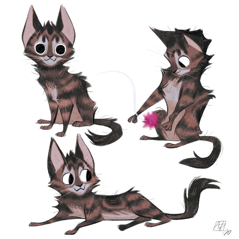A character study of a cat