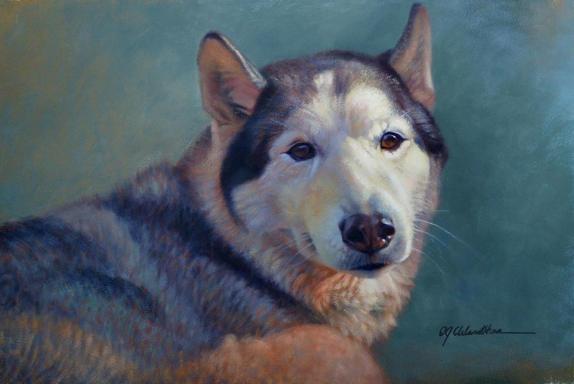 A portrait of a husky