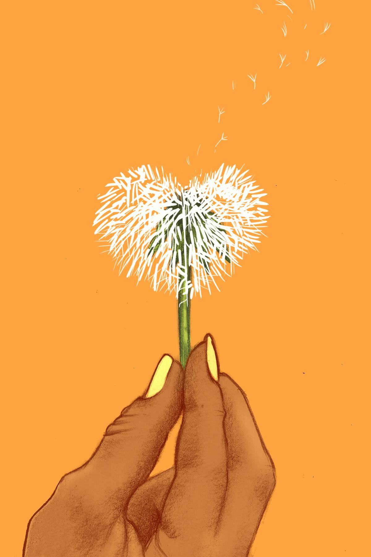 A hand holding a dandelion