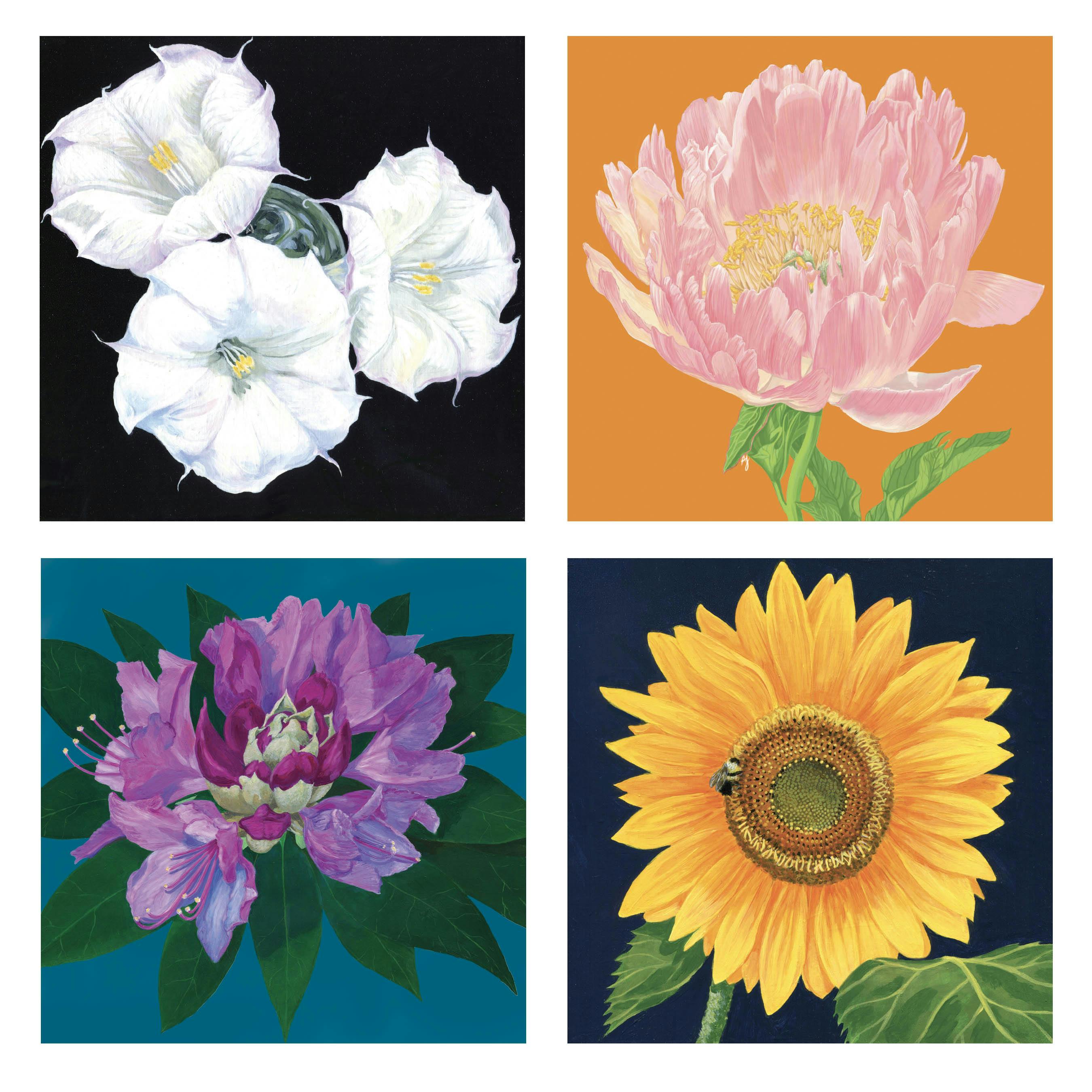Four flower illustrations