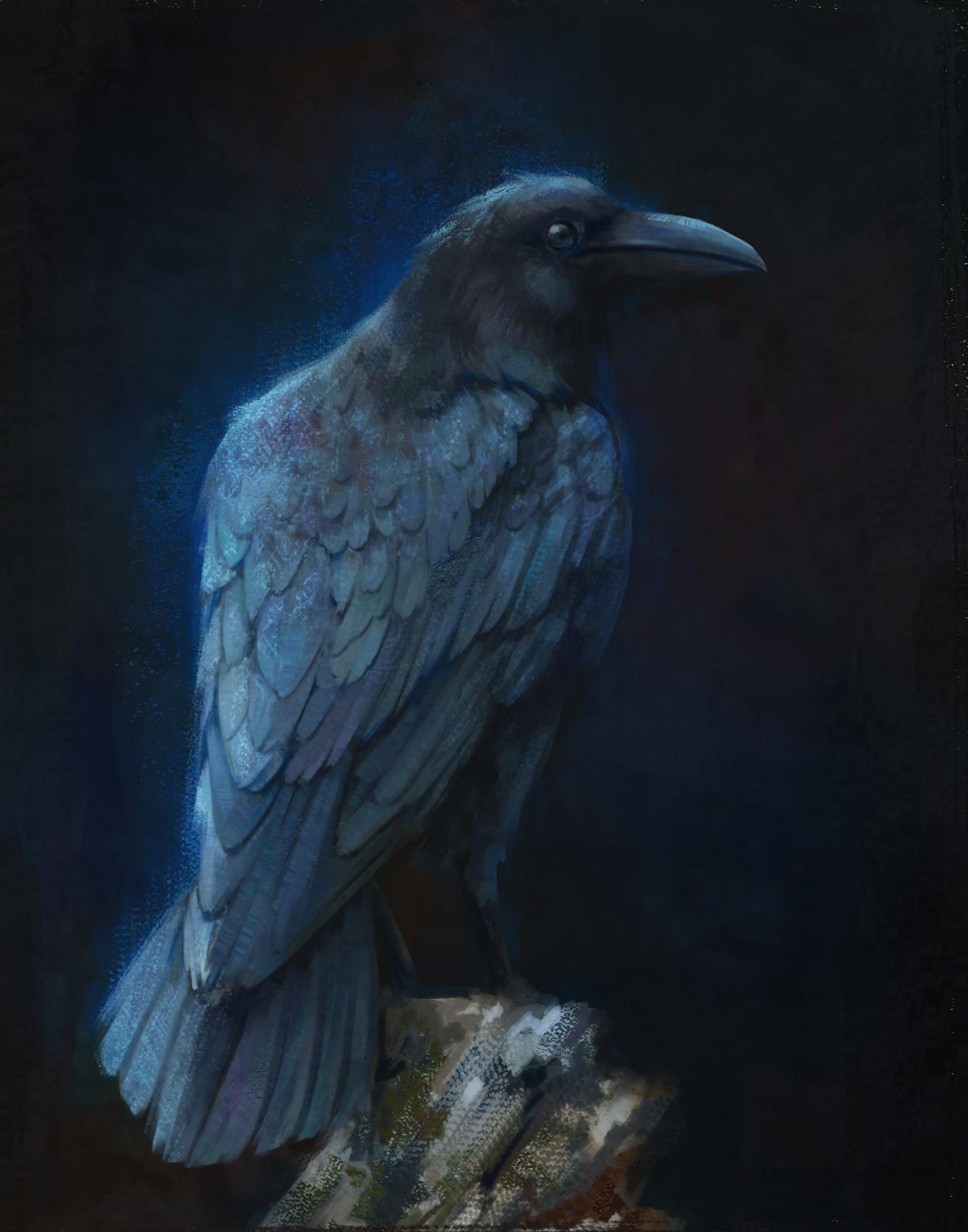 A raven