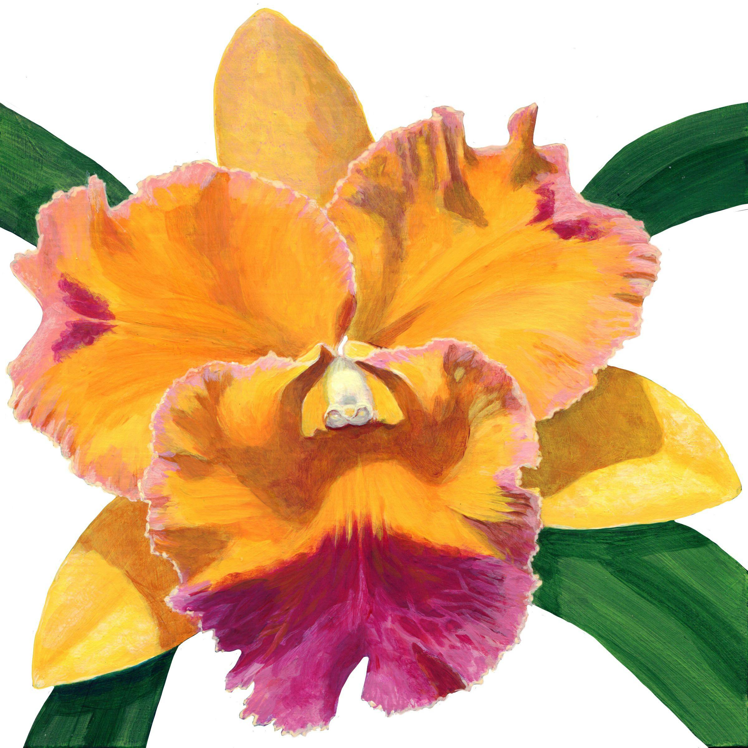 A closeup of a yellow flower