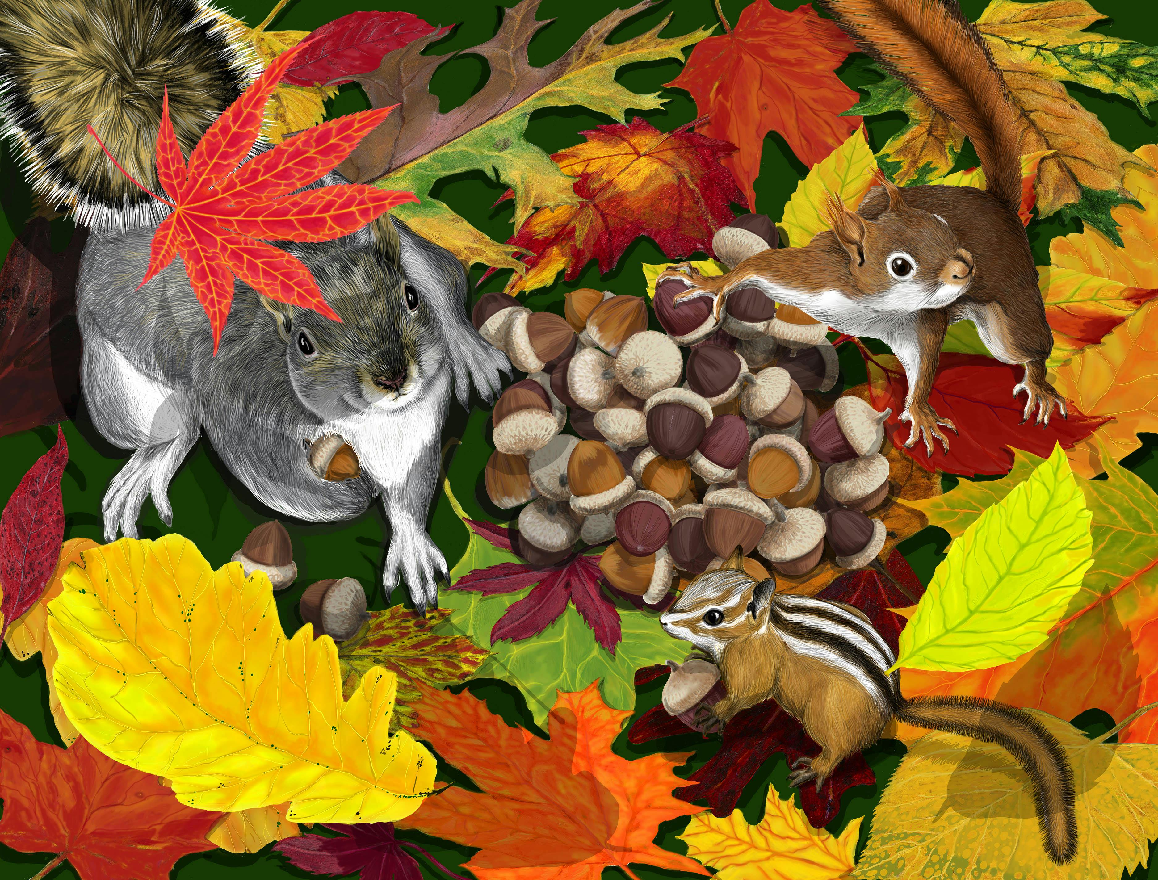 Autumn Squirrel and chipmunks