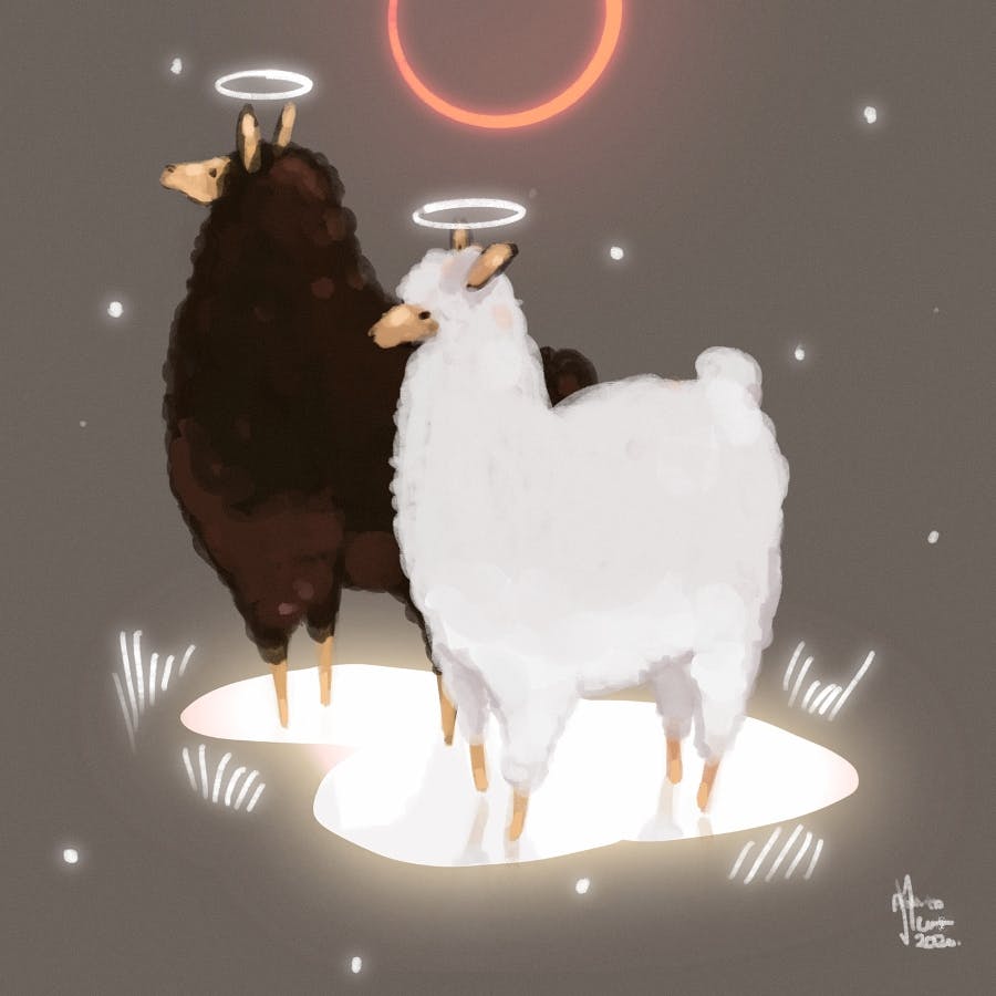 Two sheep with halos