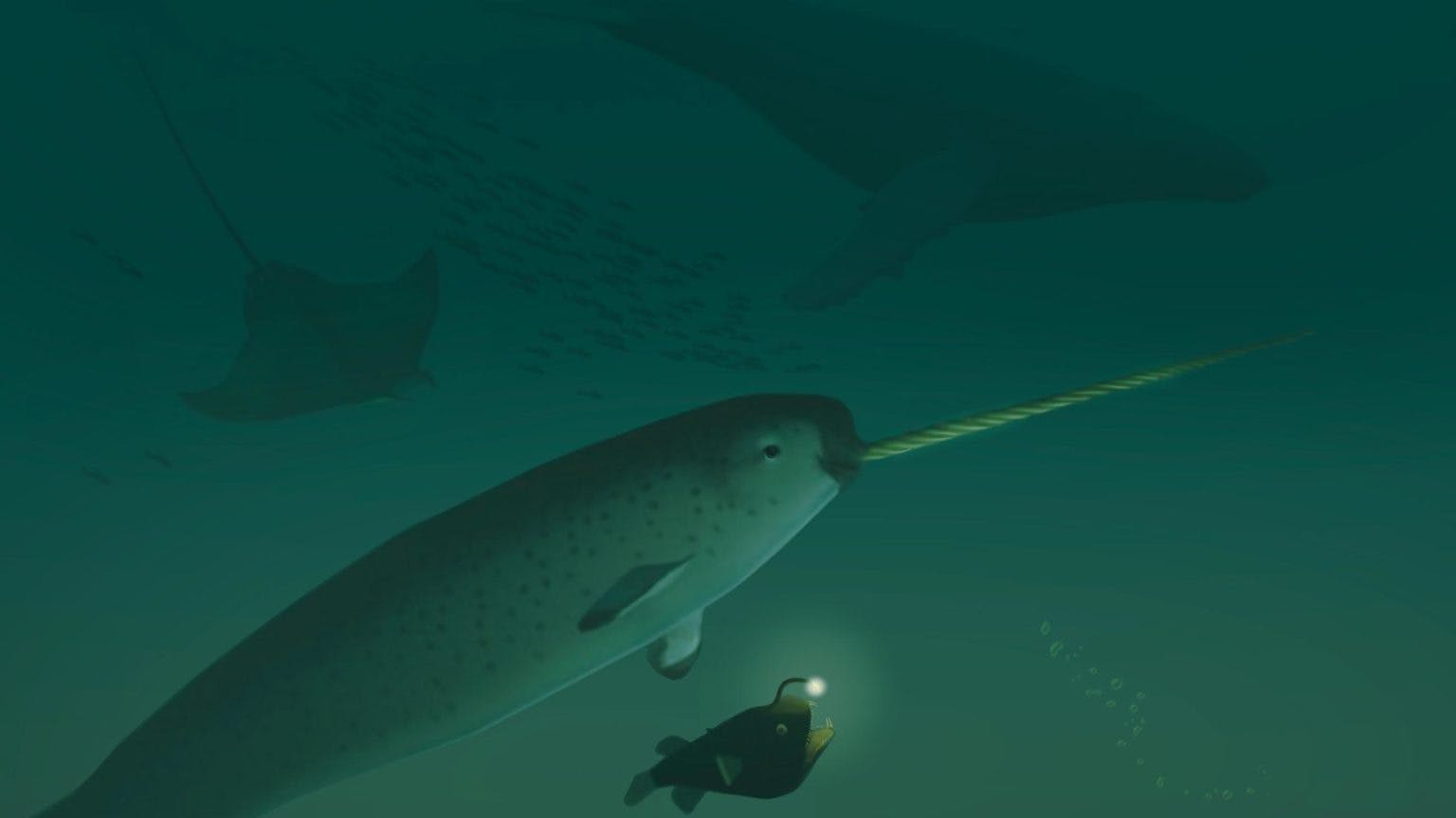 A narwhal lit by an angler fish