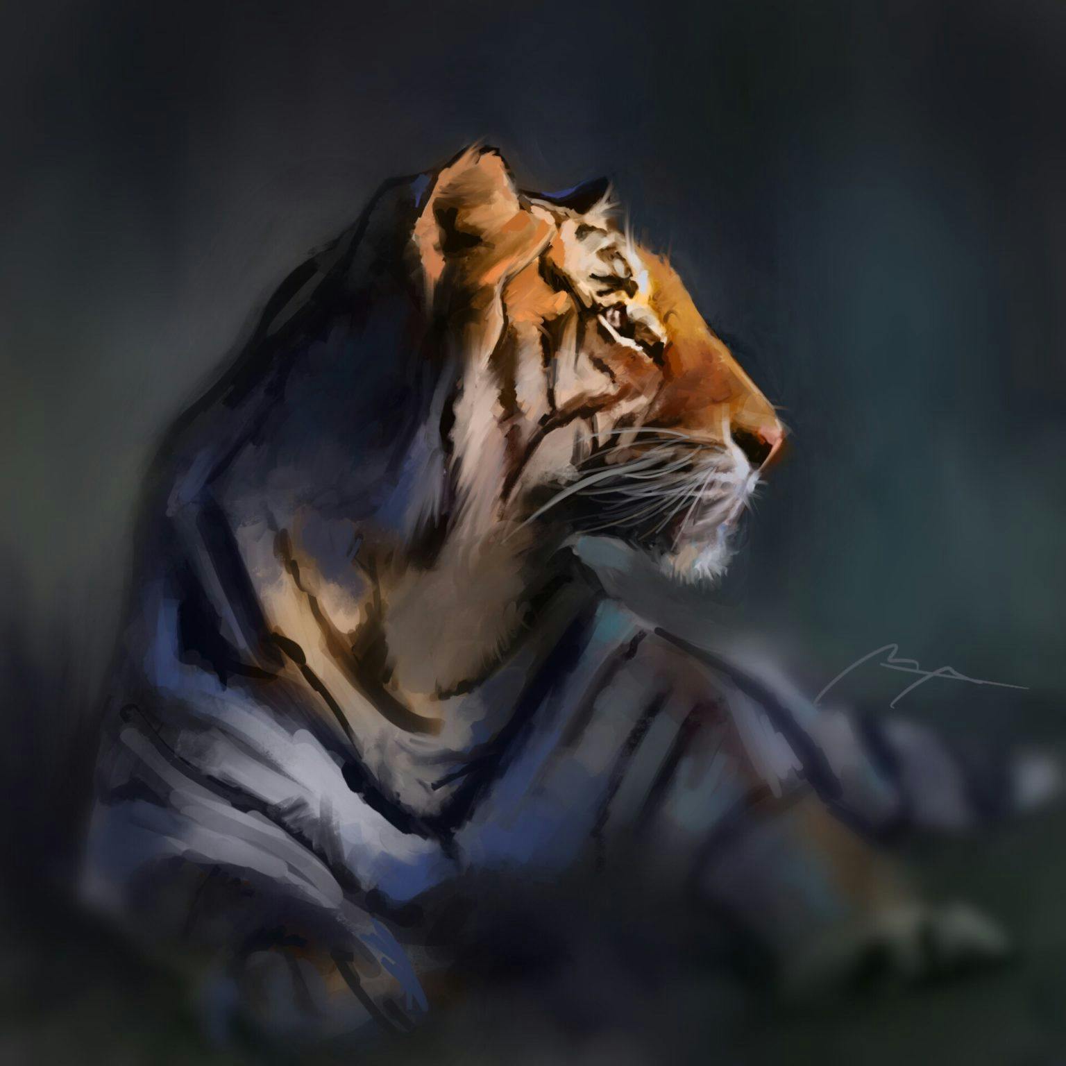 A tiger